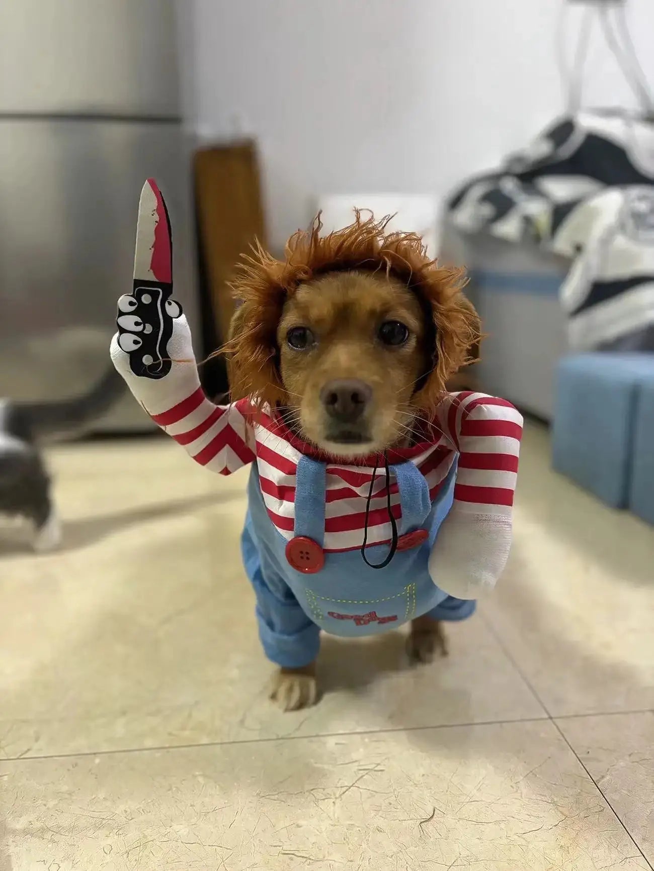 Halloween Funny Dog Clothes