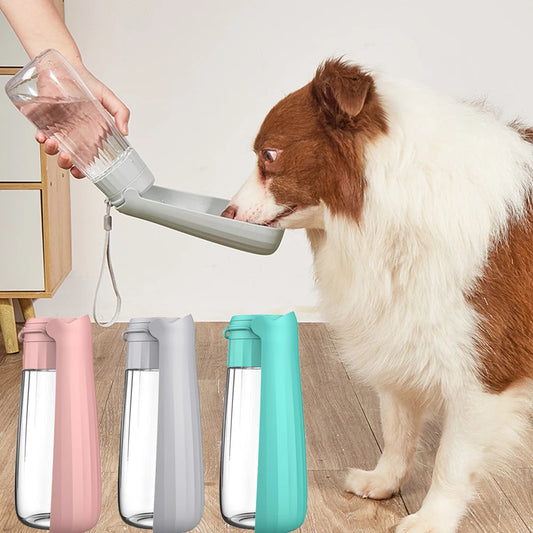 Portable Dog Water Bottle