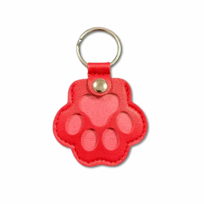 Commemorative Pet Hair Storage Bag Keychain