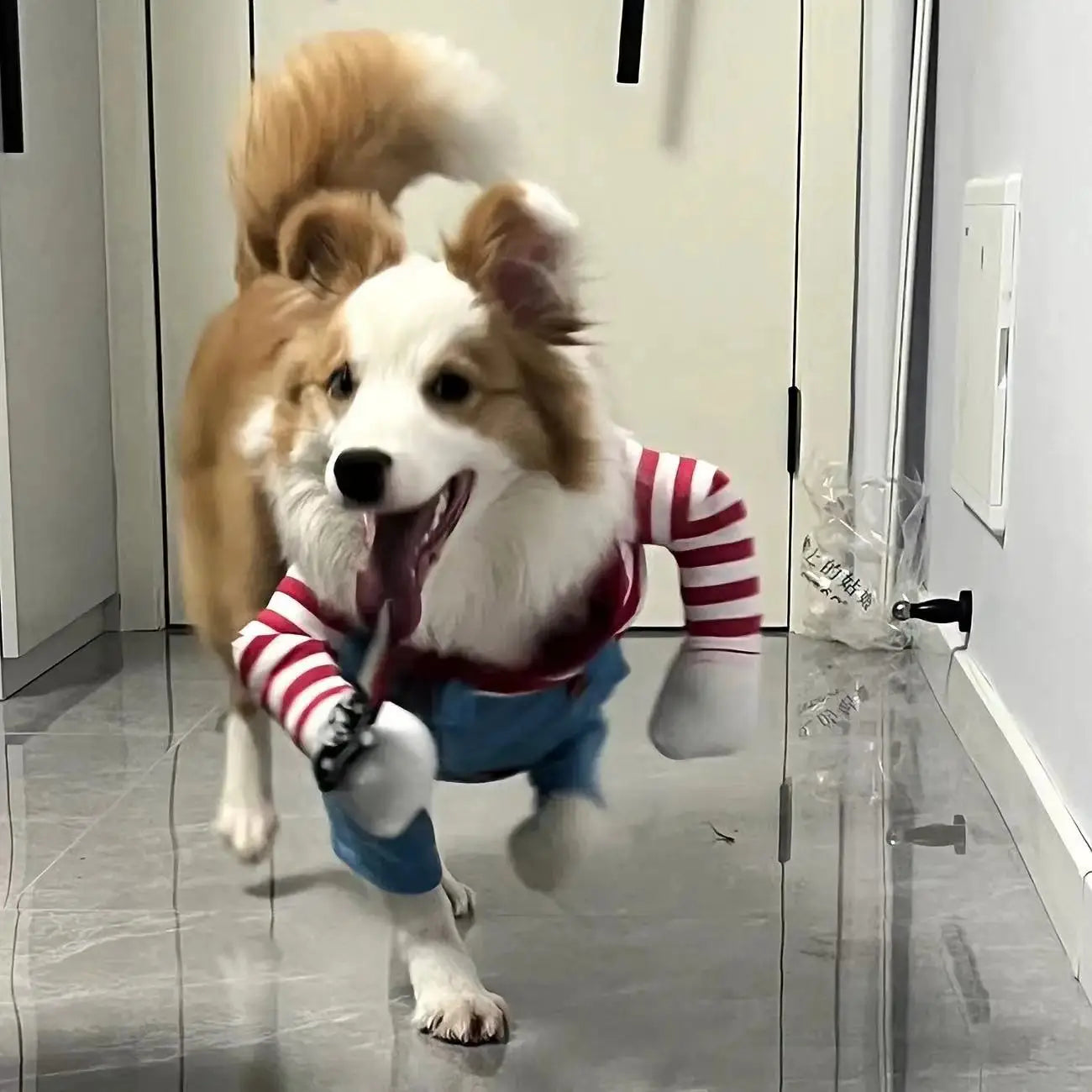 Halloween Funny Dog Clothes