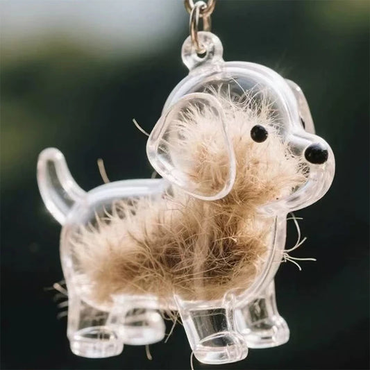 Clear Pet Hair Memorial Keepsake Capsule