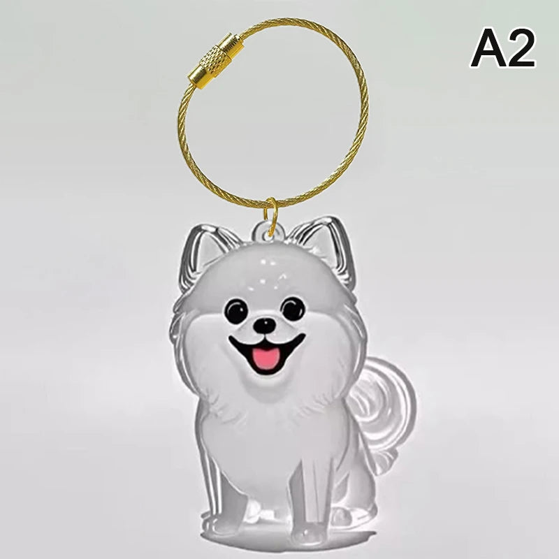 Clear Pet Hair Memorial Keepsake Capsule